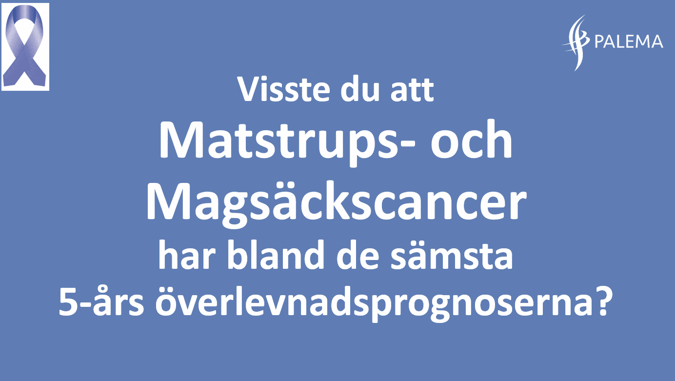 Mage Bildspel 1b