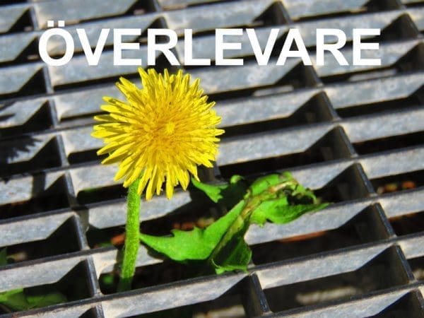 Överlevare Överlevare