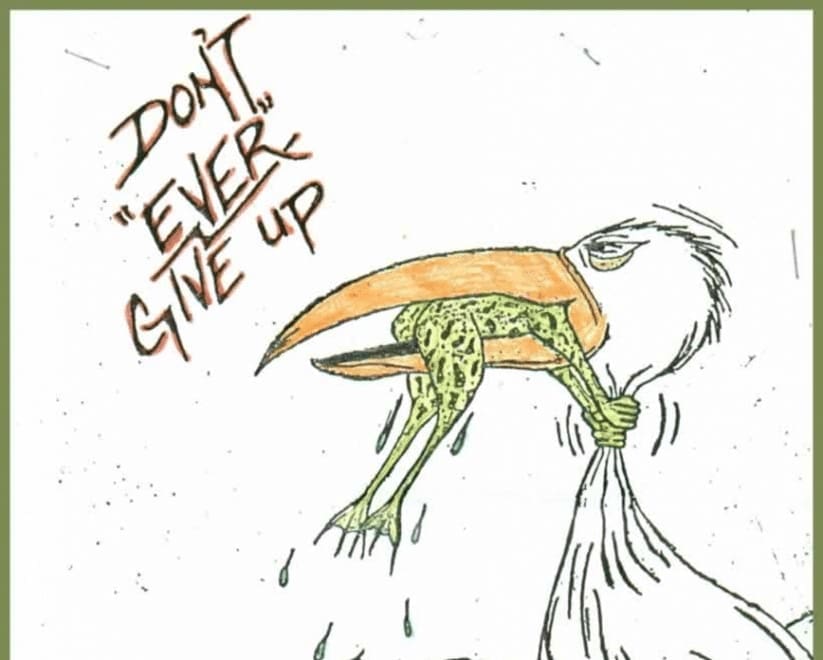 Never give up