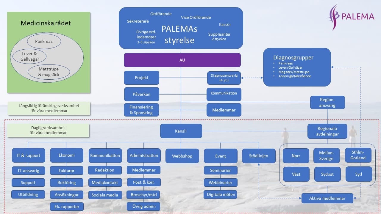 PALEMAs Organisation 2024 PALEMAs organisation 2024