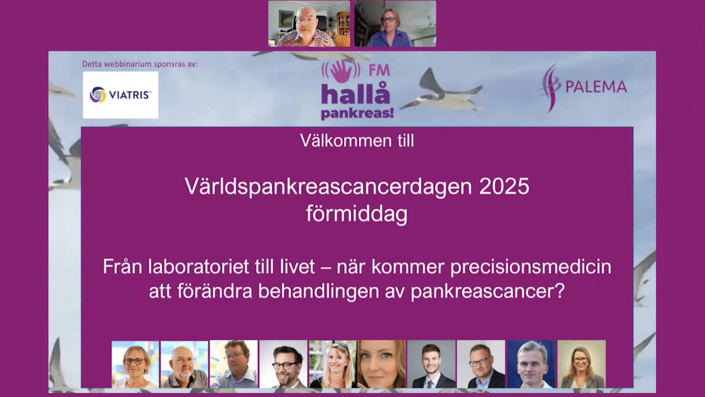 Webbinarium WPCD 2025 förmiddag